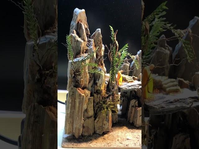 Aquascape Tutorial: Semi-terrain aquatic aquarium in rocky mountain style