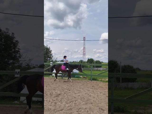 Лера и Флейта, рысь самостоятельно на плацу.  #horse #ксккаспер #оксанановикова #флейта #pony
