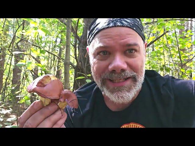 Short-stalked and Chicken Fat Boletes with The Mushroom Hunter