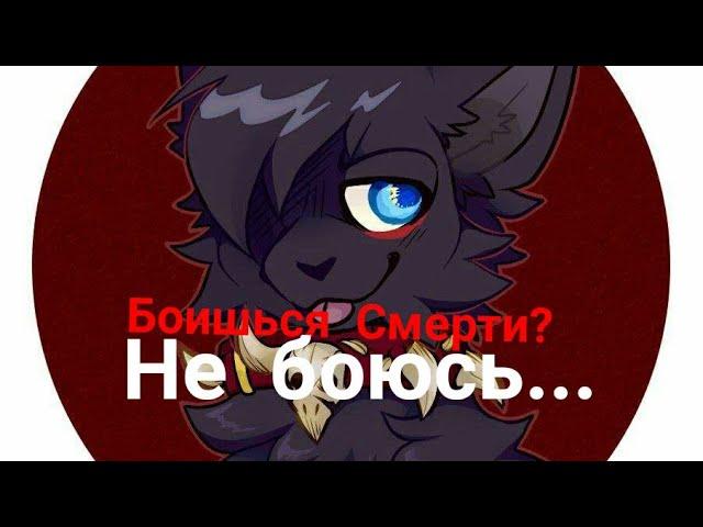 Коты-Воители/Бич/Боишься смерти?