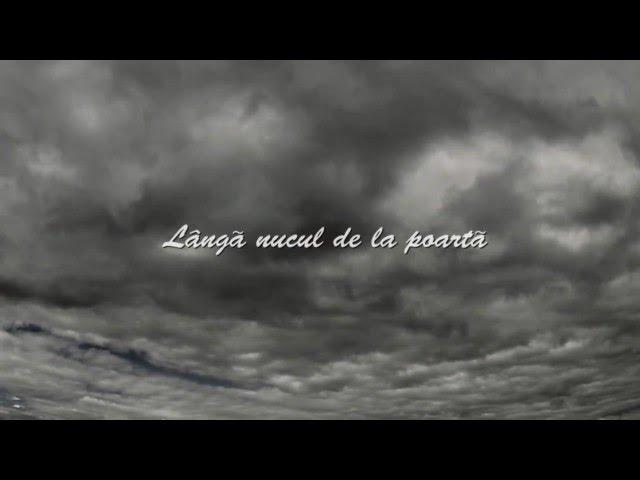 Pasha Parfeni - Acasa (Official lyrics video)