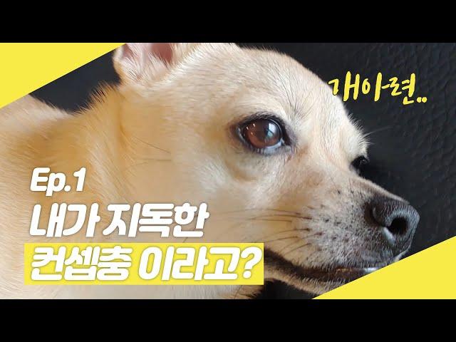 우주에서 온 라움공주 ep.1 - 내가 지독한 컨셉충이라고?