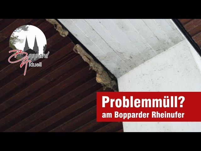 Problemmüll am Bopparder Rheinufer?