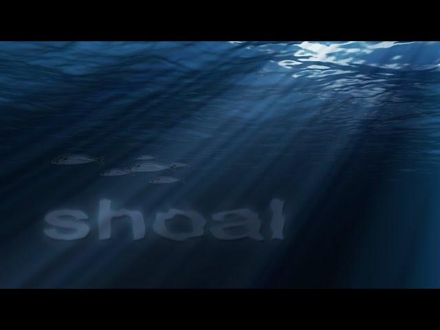 The 'Shoal Project' [seating experience]