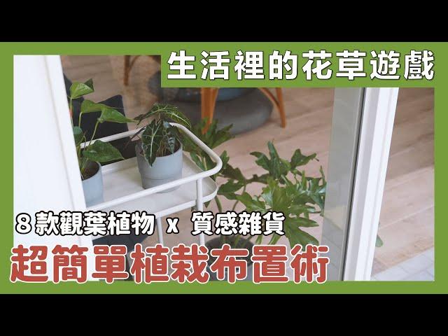 8 ways to decorate your home with foliage plants｜waja蛙家