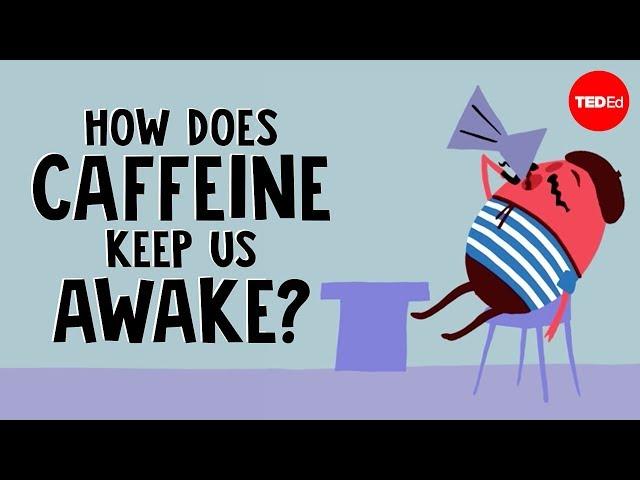 How does caffeine keep us awake? - Hanan Qasim