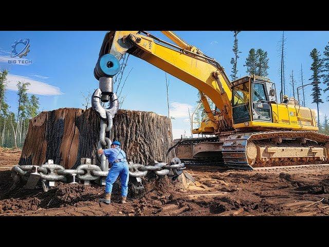 Most Big Chainsaw Cutting Tree Machines #37 | Monster Stump Removal Excavator