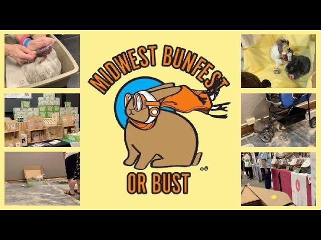 MIDWEST BUNFEST 2019: Ohio House Rabbit Rescue