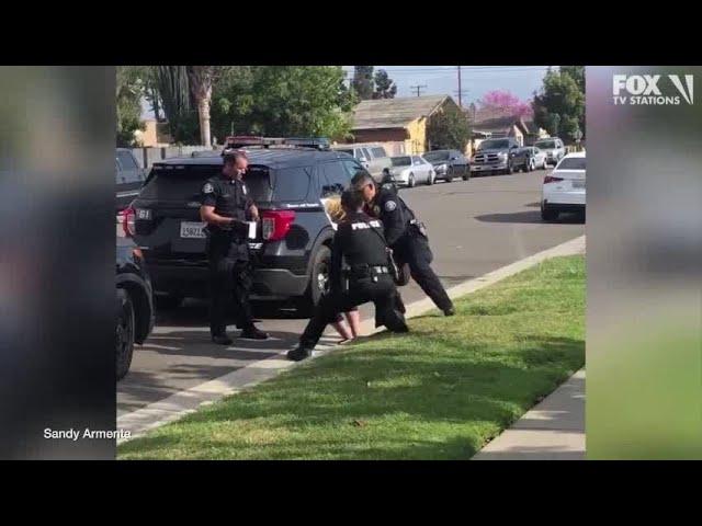 Police officers stop fellow officer punching handcuffed woman during arrest