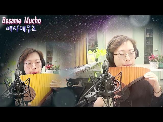 Besame Mucho (베사메무쵸)-Panflute 연주 조은혜