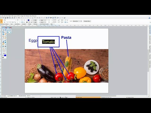 Canvas X - Using the Annotation Tool