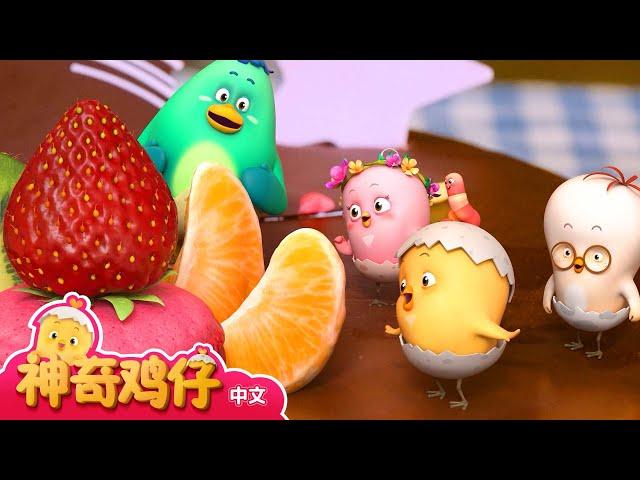 观察蛋糕 + 追加剧集 | 神奇鸡仔宝宝观察 | 神奇鸡仔启蒙游戏 | Como Kids TV