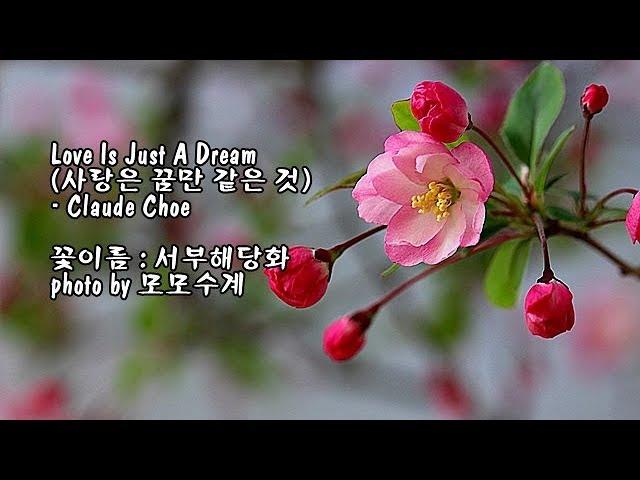 Love Is Just A Dream (사랑은 꿈만 같은 것)/Claude Choe & photo by 모모수계