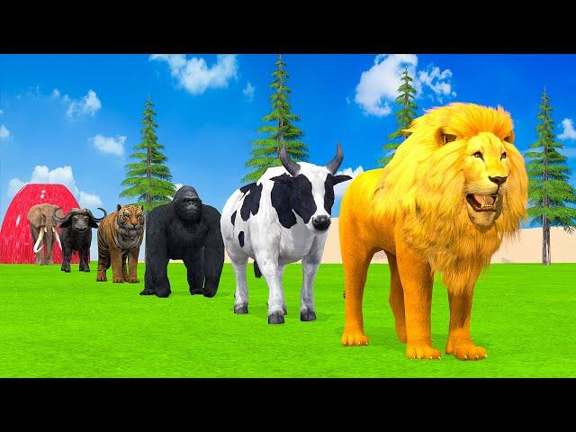 Paint & Animals Duck,Gorilla,Lion,Elephant,Cow,Sheep Fountain Crossing Transformation Animal Cartoon