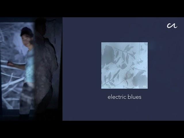 electric blues - Clinton N