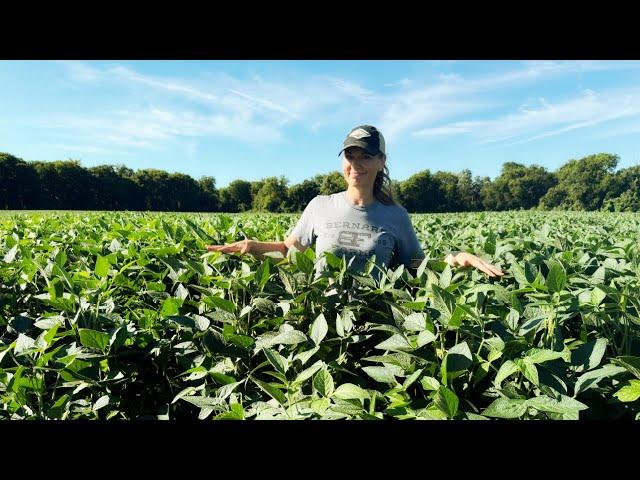 Fencing WOES & Watching Beans GROW! 