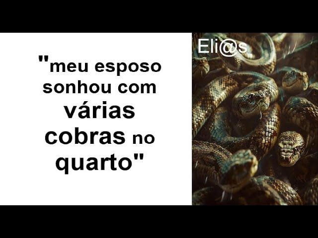 SONHAR COM COBRAS NO QUARTO significado