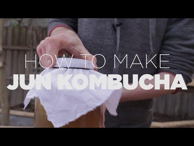 How to make an amazing Jun Kombucha