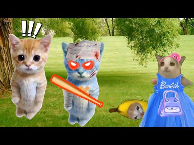 Baby Banana Cat Videos ️ 2 Minutes #64