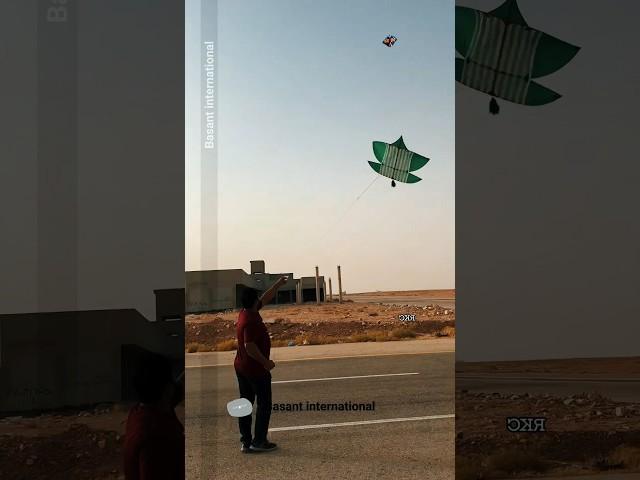 kite flying Patang Bazi Basant Festival #kiteculture #kiteflying #basantfestival #outdoorsport