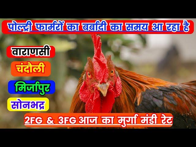 FFG और FFFG आज का मुर्गा मंडी रेट | Tody Poultry Rate | Poultry Farm Rate Today #poultryratetoday