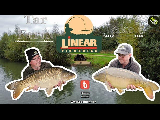 298 Linear Fisheries, Tar Farm Lake 6