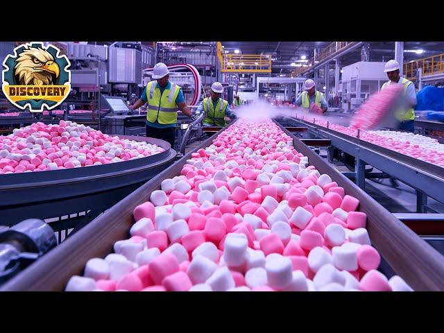 How Marshmallows are Made In Factory? | Captain Discovery