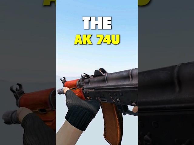What Do YOU Know About This Gun?