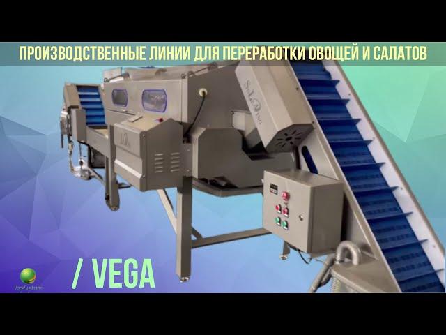 Производственные линии для переработки салатов, овощей, фруктов и других продуктов
