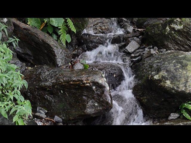 Kurseong Waterfall ️