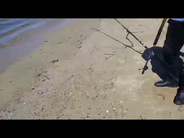 Fishing at the beech. Nakhodka, Primorye, Russia. 001