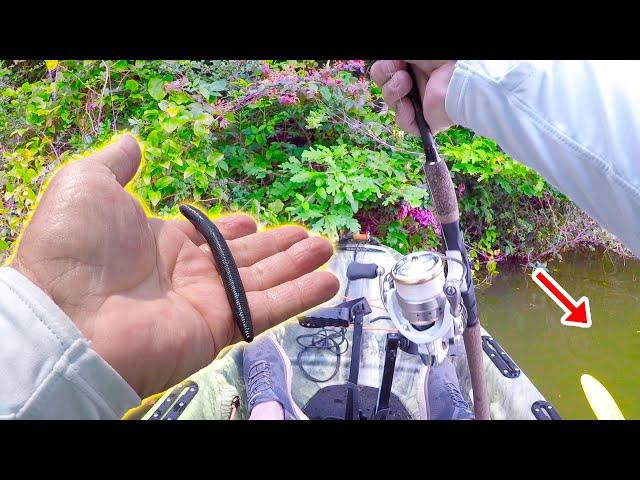 Let Me Show You An Easy Way To Catch Big Bass In A Kayak