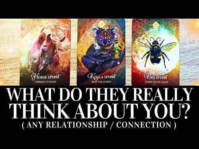 PICK A CARD   WHAT DO THEY REALLY THINK ABOUT ME?   Platonic/Romantic/Family/Work Tarot Reading