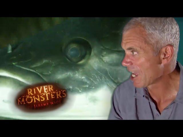 Jeremy Wade Scarred By Arapaima Attack | ARAPAIMA | River Monsters