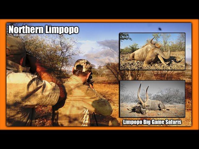 Hunting Northern Limpopo with Limpopo Big Game Safaris