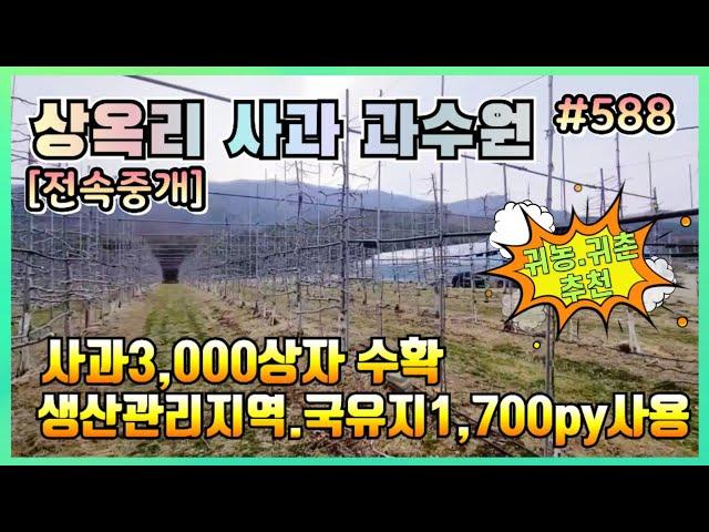 #588 죽장면 상옥리 청정지역 사과과수원매매-‎@강산부동산TV  #슬로우시티 #죽장사과 #자연인 #포항부동산