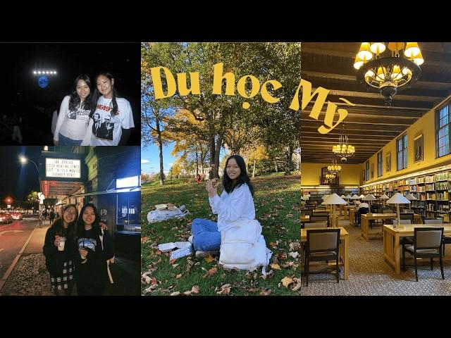 năm đầu học đại học ở mỹ  || college vlog - ngành STEM, công việc, sinh nhật || du học sinh mỹ