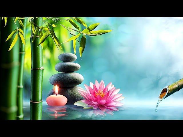 Relaxing Piano Music  Calming Sleep Music, Water Sounds, Healing Music, Meditation Music (Lotus)