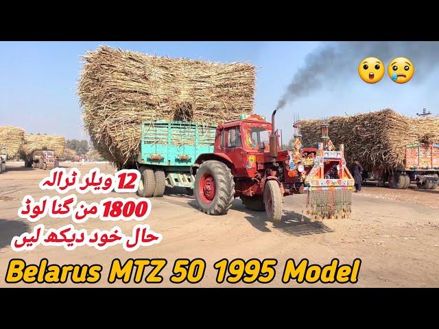 Belarus MTZ | 70 Tonnes Extremely Overload Trailer Carry In Sugarcane Factory