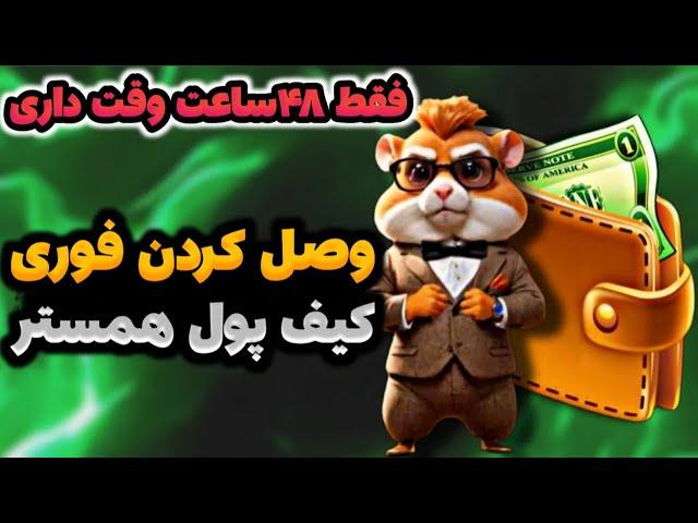 همه ایرانی ها کیف پول همستر رو اشتباه وصل کردن آموزش وصل کردن کیف پول همستر | برداشت همستر | فروش