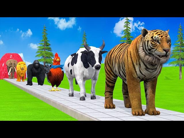 Paint & Animals Duck,Gorilla,Lion,Elephant,Cow,Sheep Fountain Crossing Transformation Animal Cartoon