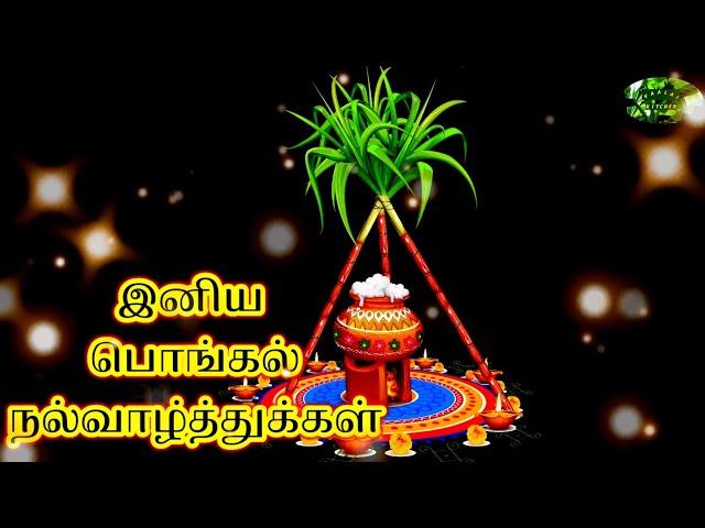 Happy Pongal 2021|Pongal  WhatsApp StatusTamil|Mattu Pongal Status|Happy Sankranthi|Pongal Animation