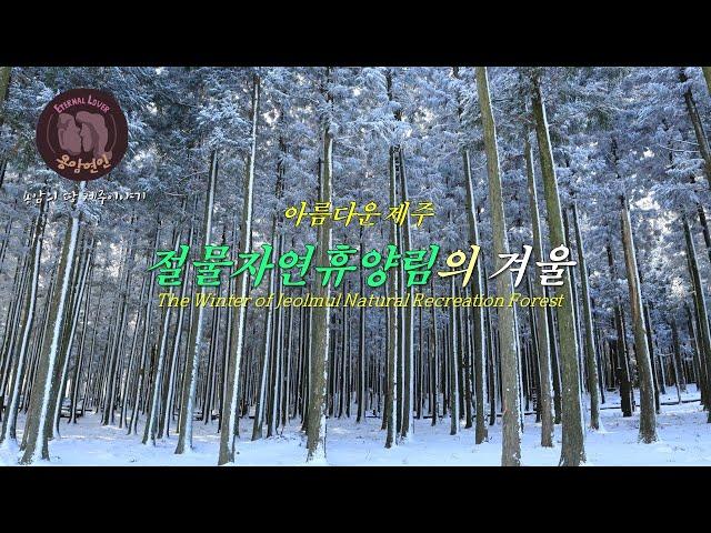 아름다운 제주 –절물자연휴양림의 겨울/The Winter of Jeolmul Natural Recreation Forest/절물자연휴양림의 설경-