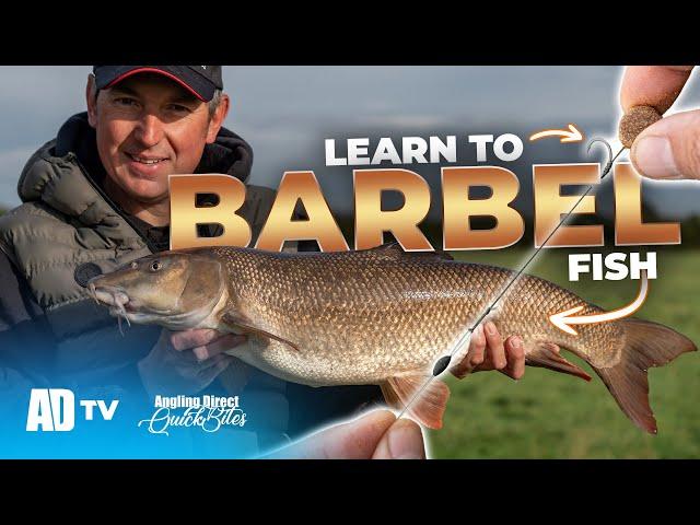 Learn To Barbel Fish - The Tidal River Trent