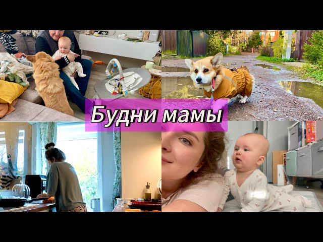 Успеть уделить время всем! полный назад Сэдди как всегда семейный ВЛОГ