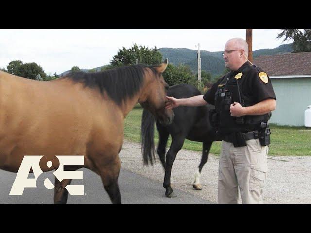 Live PD: Grass is Always Greener on the Other Side (Season 4) | A&E