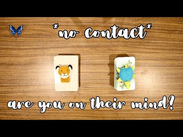 * NO CONTACT*  ARE YOU ON THEIR MIND? + NEXT MOVE ️‍️ *pick a card* Timeless Tarot Reading 