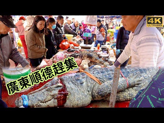 At the market in Shunde, Guangdong, China, locals rush to buy crocodiles