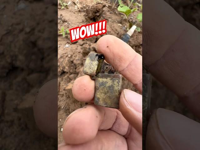 Super FIND! #gold #metaldetecting #shortvideo #cop #search #metaldetector #treasure #coins #shorts