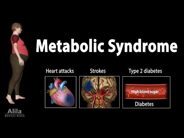 Metabolic Syndrome, Animation